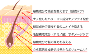 GREEN ボリュームアップミストの効果・効能の図解イメージ