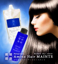 プロテクトインナートリートメント！アミノヘアメンテ特設サイト